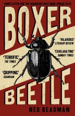 Boxer Beetle
