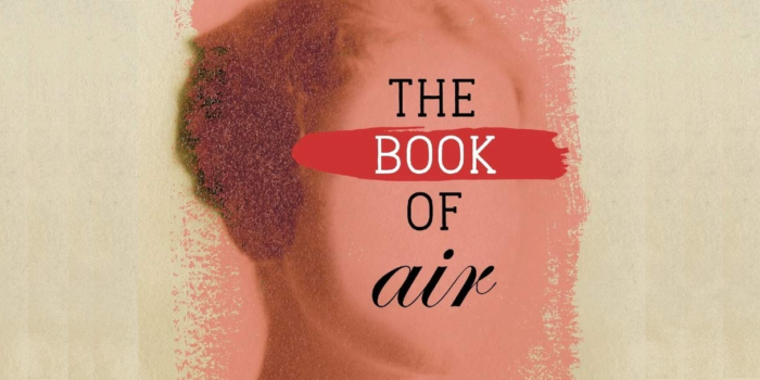 The Book of Air By Joe Treasure Novel Extract