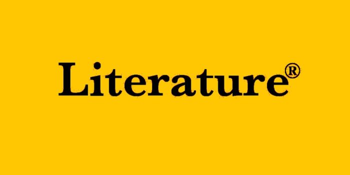 Literature® by Guillermo Stitch: Debut Dystopian Novella