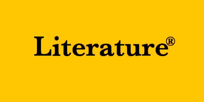 Literature® by Guillermo Stitch Novella Review