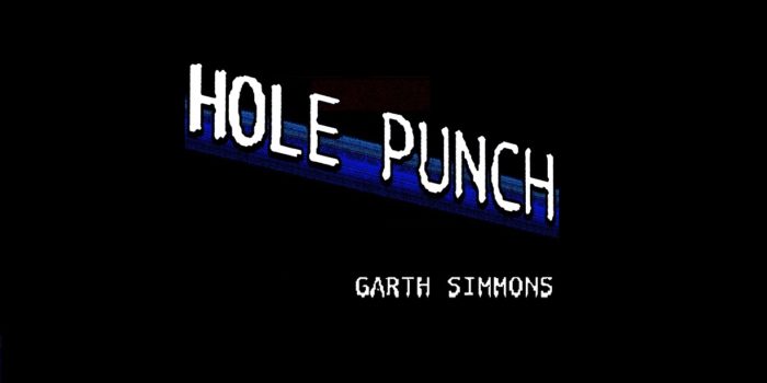 Hole Punch by Garth Simmons novel review